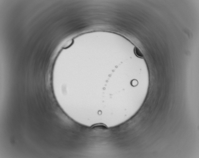 X0000113360912200910131257