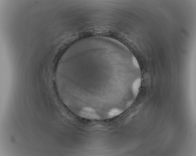 X0000113360913200910131257