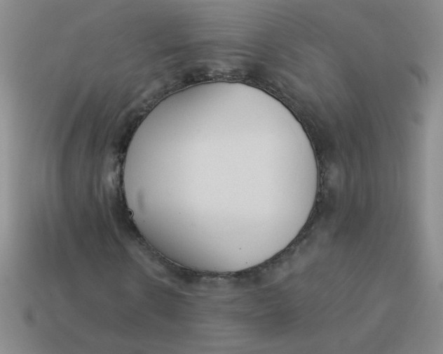 X0000113360914200910131257