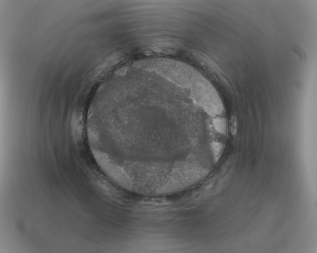 X0000113360915200910131257