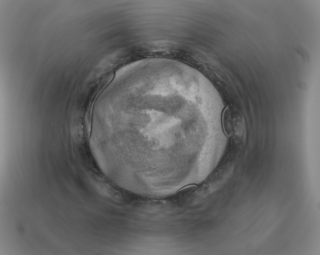 X0000113360916200910131257