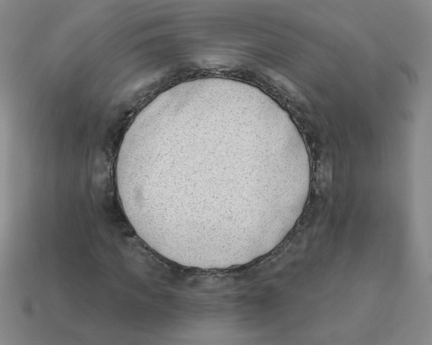 X0000113360917200910131257