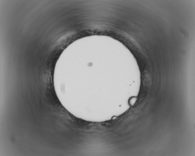 X0000113360918200910131257