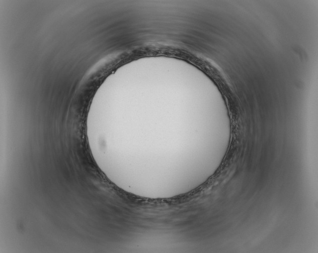 X0000113360919200910131257