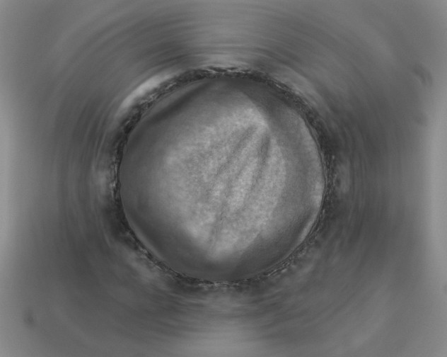 X0000113360920200910131257