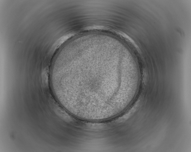 X0000113360921200910131257