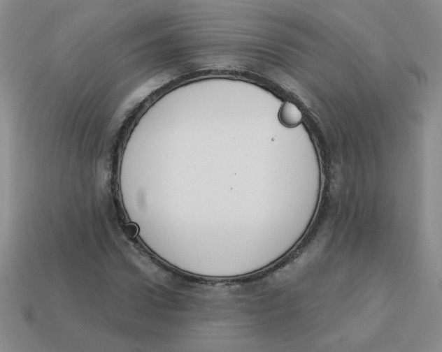 X0000113360922200910131257