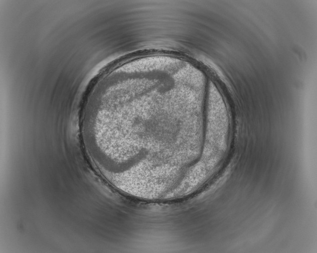 X0000113360923200910131257