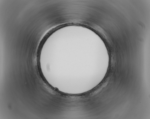 X0000113360924200910131257