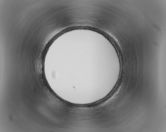 X0000113360925200910131257