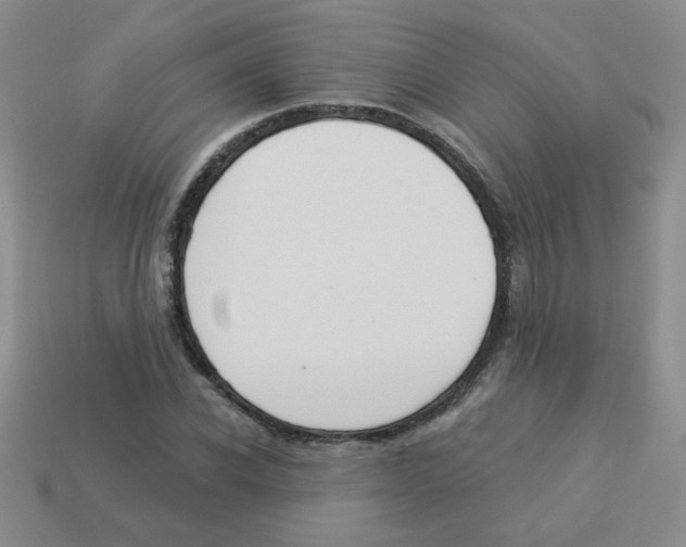 X0000113360926200910131257