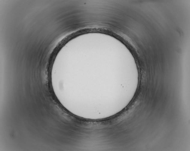 X0000113360927200910131257