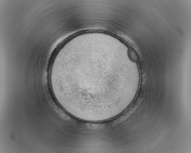 X0000113360928200910131257