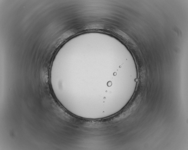 X0000113360929200910131257