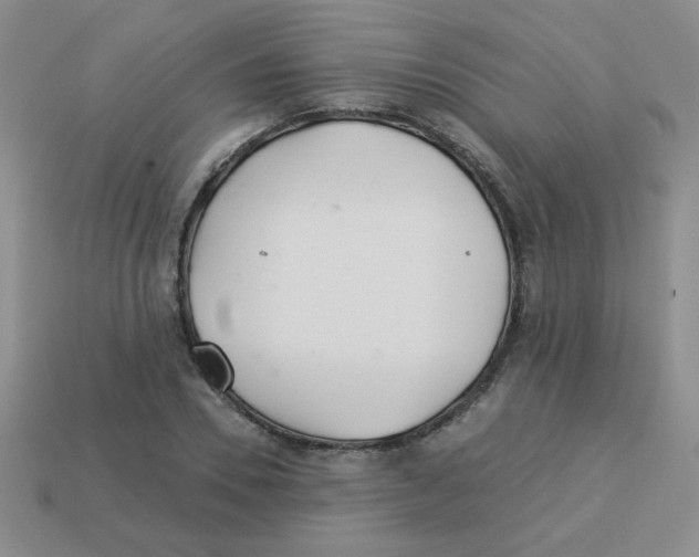 X0000113360930200910131257