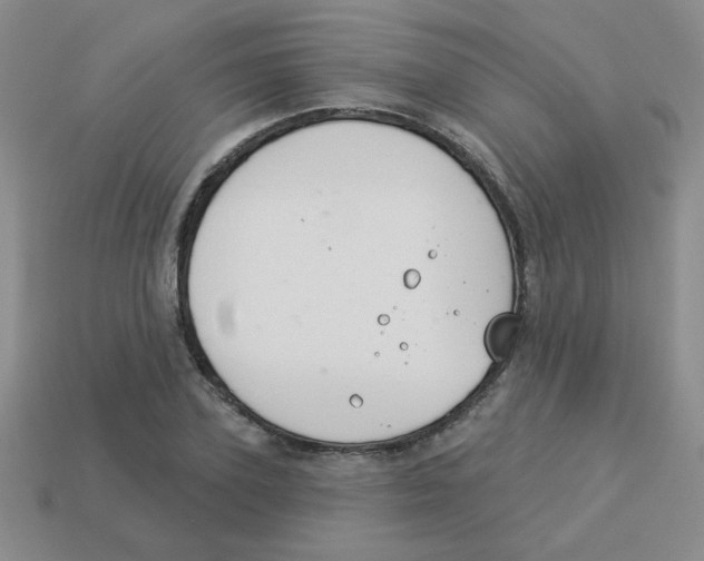 X0000113360931200910131257