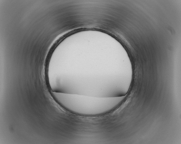 X0000113360932200910131257