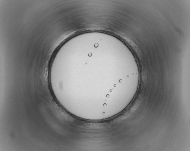 X0000113360933200910131257