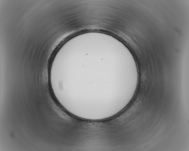 X0000113360934200910131257