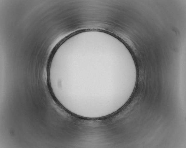 X0000113360936200910131257