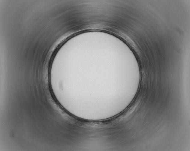 X0000113360939200910131257