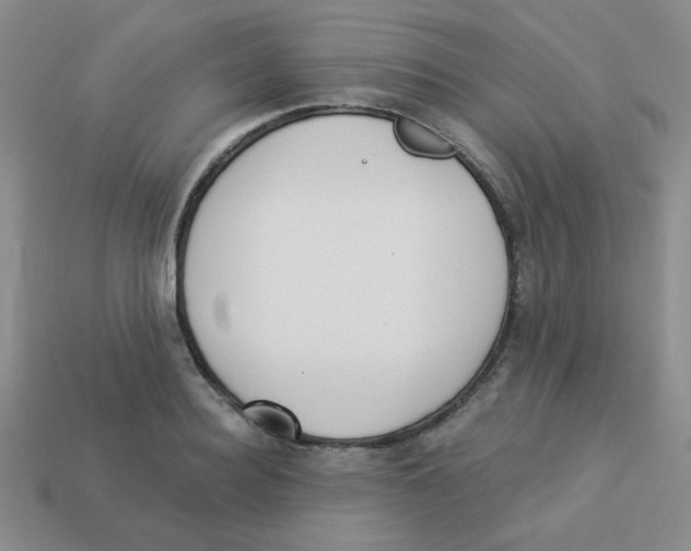 X0000113360940200910131257