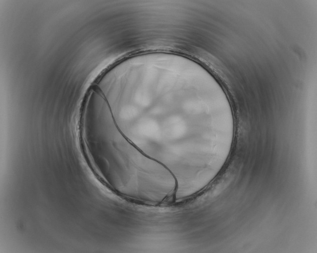 X0000113360941200910131257