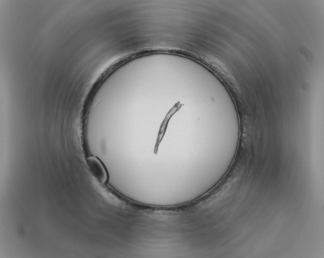 X0000113360942200910131257