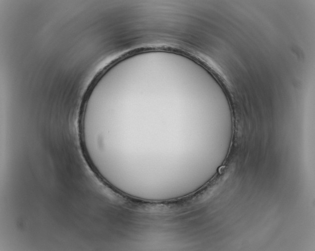 X0000113360943200910131257