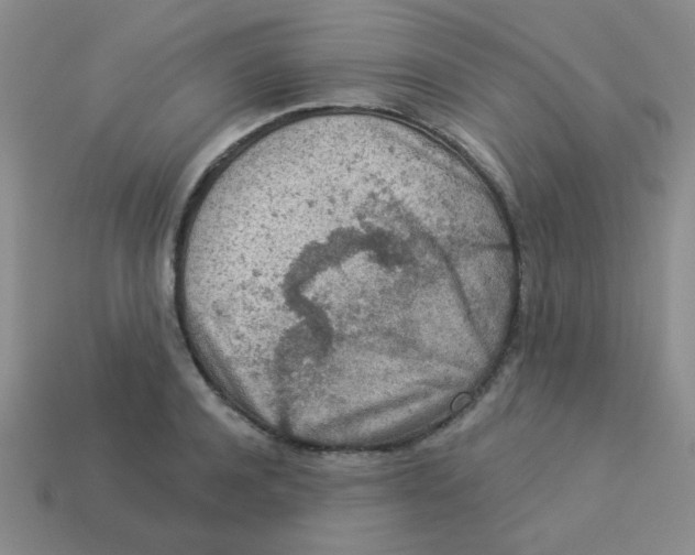 X0000113360944200910131257