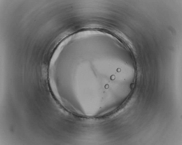 X0000113360945200910131257