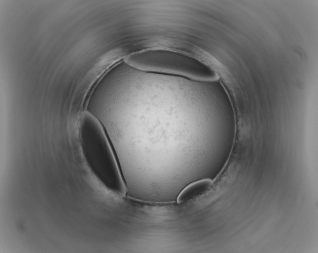 X0000113360946200910131257