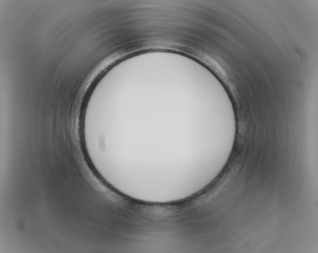 X0000113360947200910131257