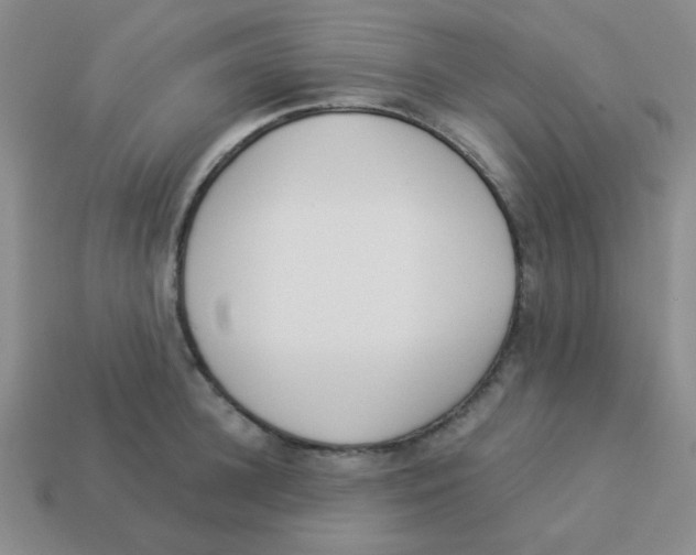 X0000113360948200910131257