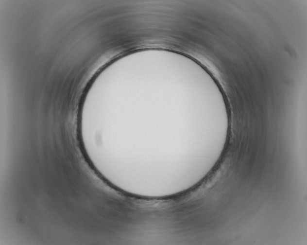 X0000113360949200910131257