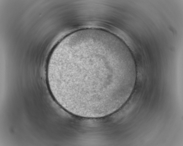 X0000113360950200910131257