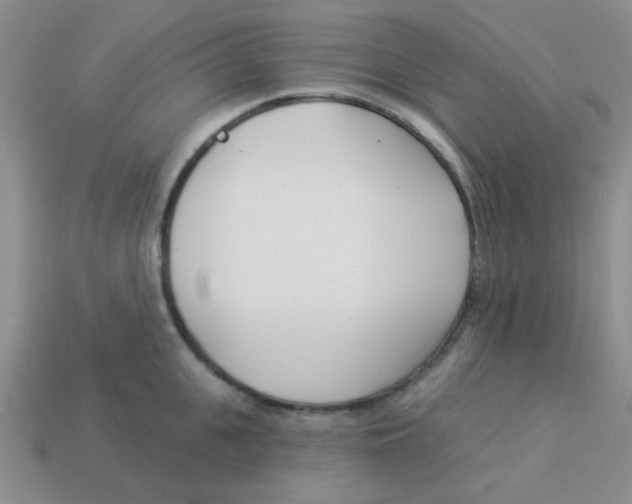 X0000113360951200910131257