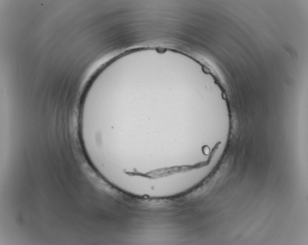 X0000113360952200910131257