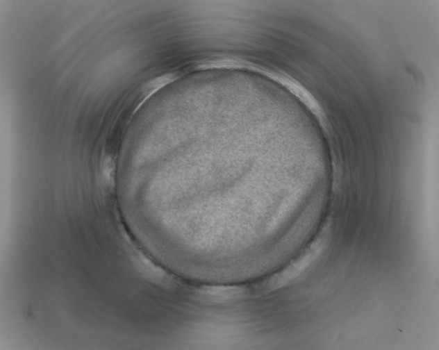 X0000113360953200910131257