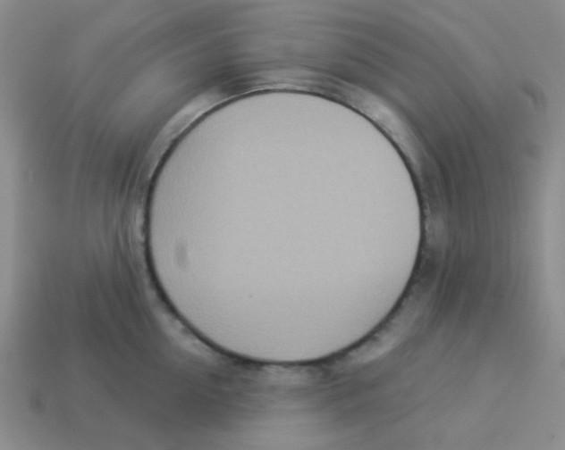 X0000113360954200910131257