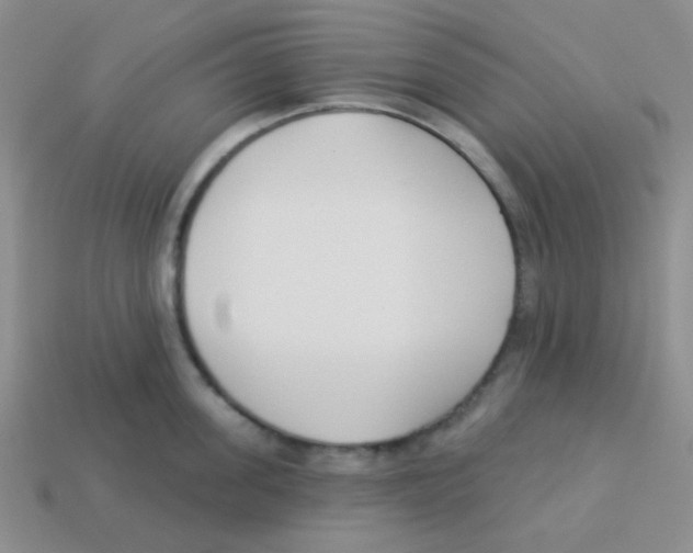 X0000113360955200910131257