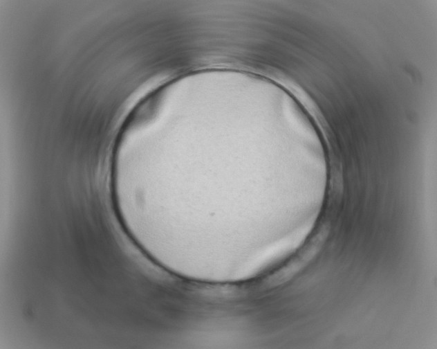 X0000113360957200910131257