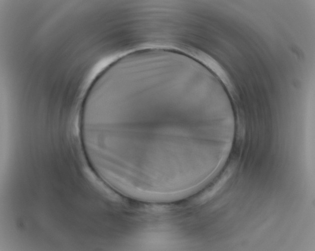 X0000113360958200910131257