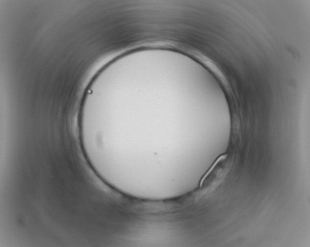 X0000113360959200910131257