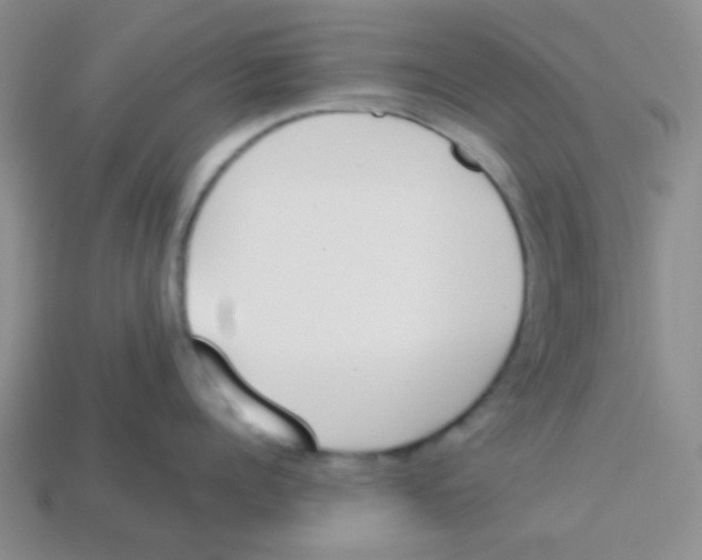 X0000113360960200910131257