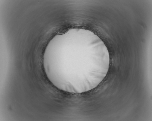 X0000113360961200910131257