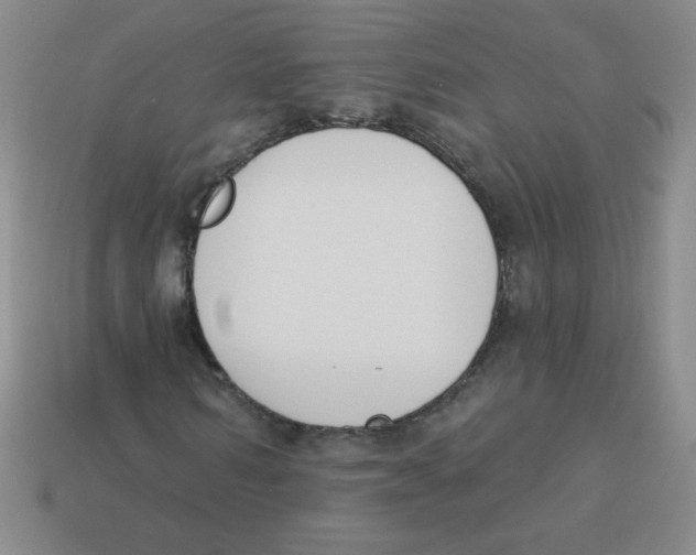 X0000113360962200910131257