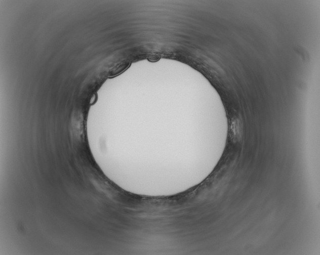 X0000113360963200910131257