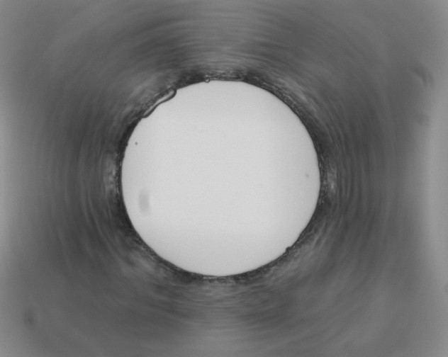 X0000113360964200910131257