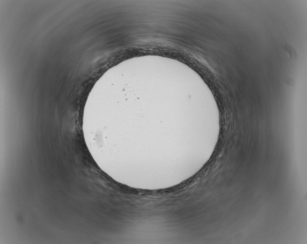 X0000113360965200910131257